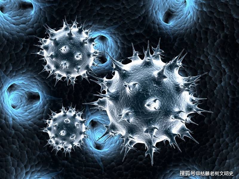 全球新冠死亡病例超过45万,这在人类瘟疫史上,能排在第几位?