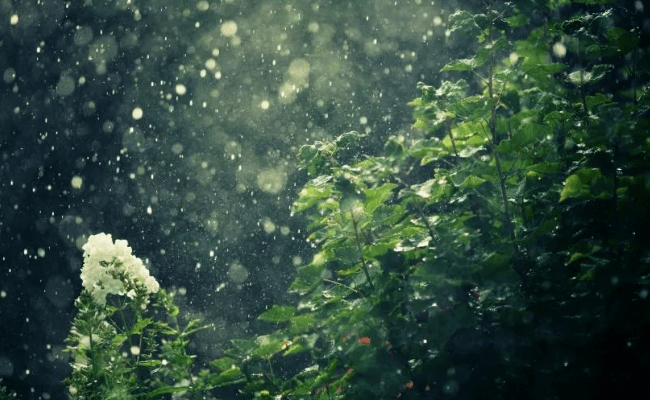 6db3286994f540058dbdabc51e6bd4a1.png