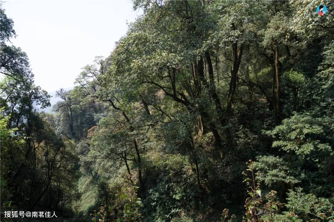 凤庆县属于哪个市的 b51fc165b7234fe8abbb69c58ca95ac2.jpeg