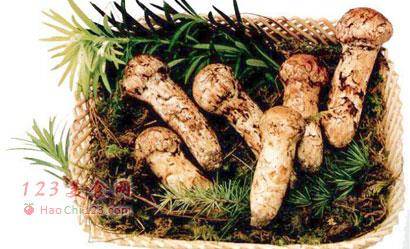 松茸的功效与作用 d54bc0e6aef0444d8c8f1d1fcc2da4e2.jpeg