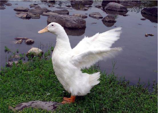 f98f55bb8721499199bd304067d112aa.jpeg