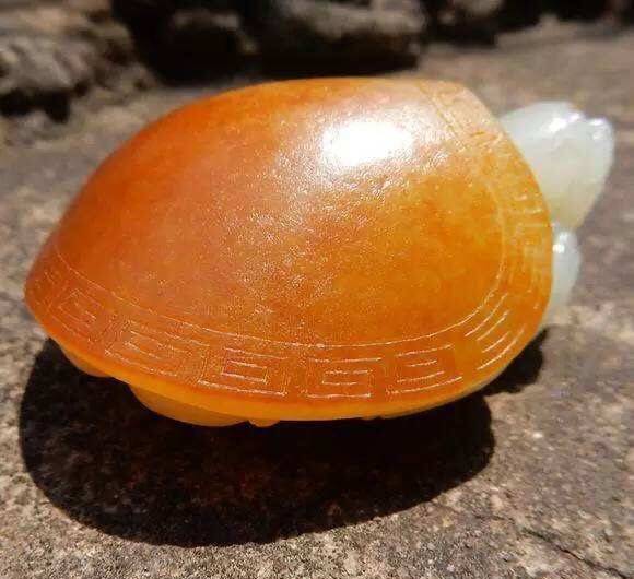 啥是白玉参 38900bcb43f1423181632387a43b2575.jpeg