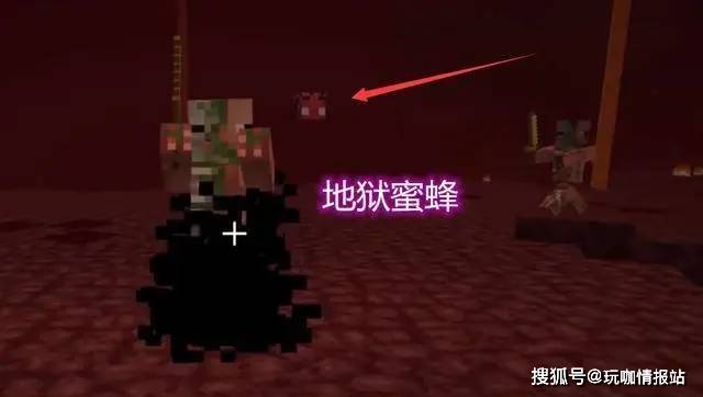 蜜蜂会主动攻击 96475e70932a40ee9236d0f364511cd7.jpeg