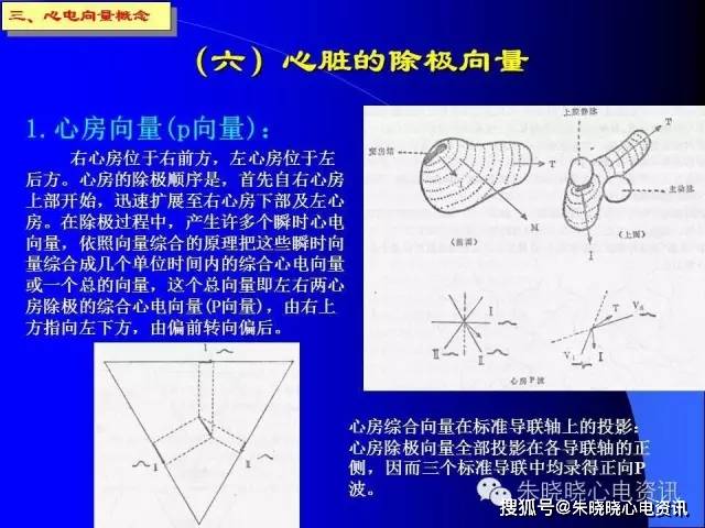 心电向量和心电图产生原理