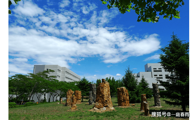 2020cwur排名中国大学_2020年中国大学社会影响力排名100强名单:武汉大学居(2)