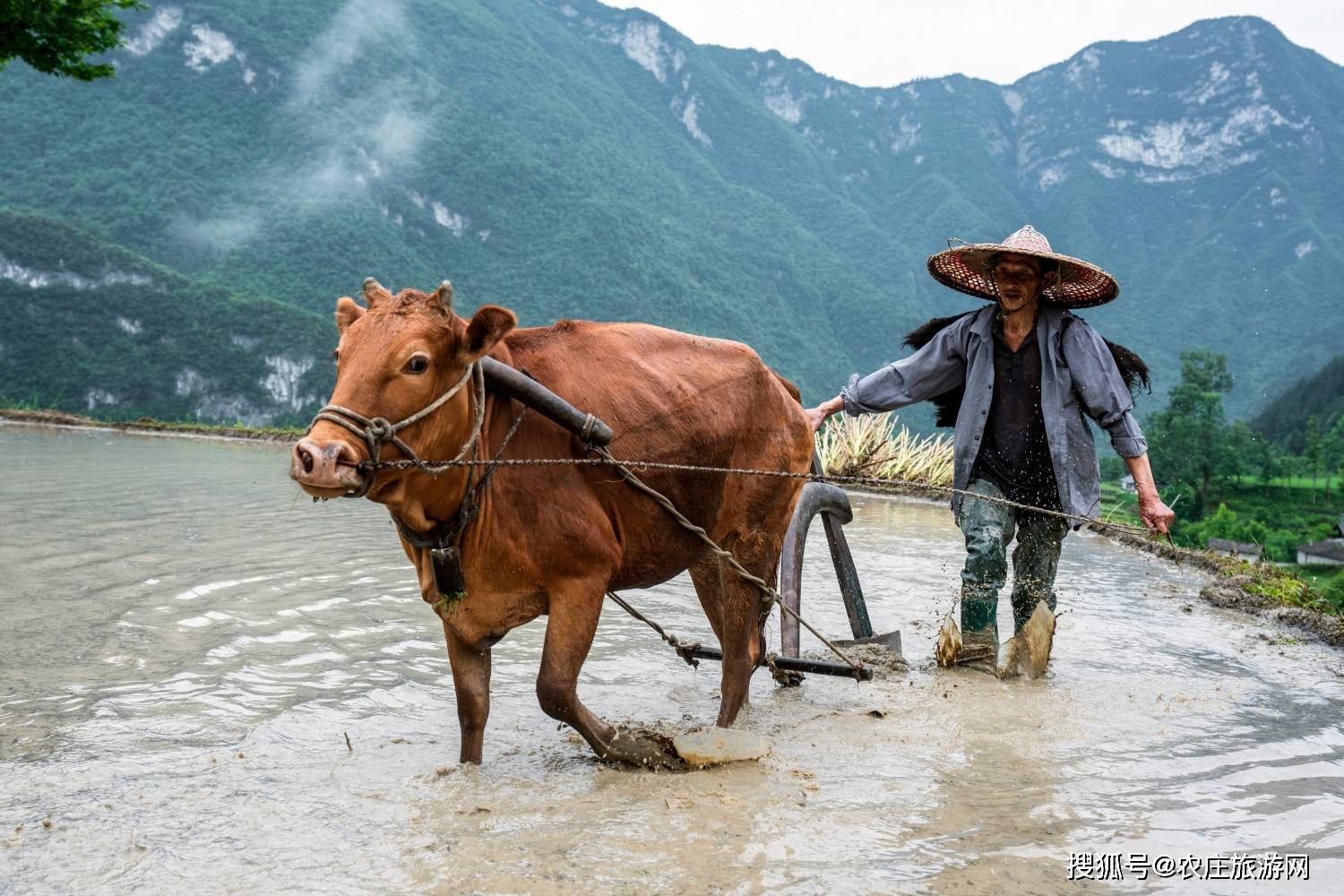 湖北宣恩:深山古寨农耕忙 山水如画寄乡愁