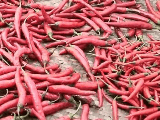 怎么晒豆瓣酱好吃 665384c070004eba9187f0eeb7053ab8.png