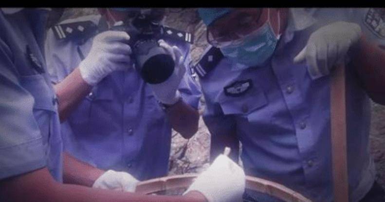 黑龙江多少人口有多少人口_黑龙江人口密度分布图(2)