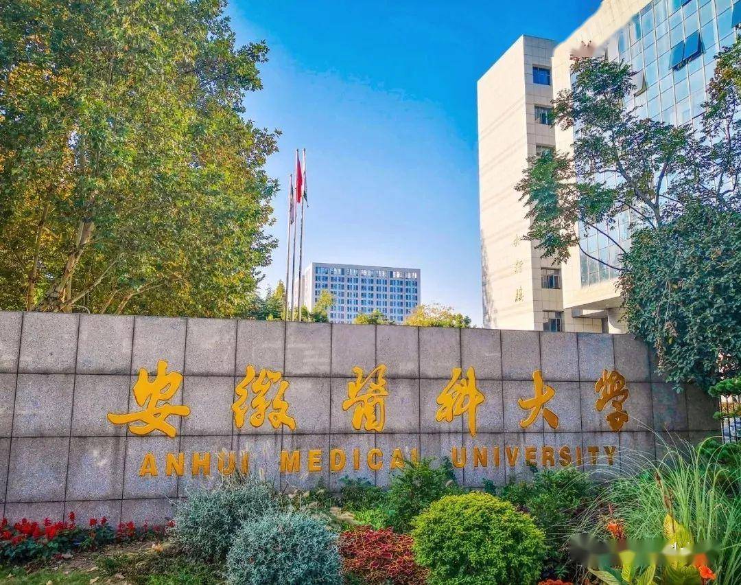 排名第一的是安徽医科大学,2019理科投档分564分,比一本线505分高59分