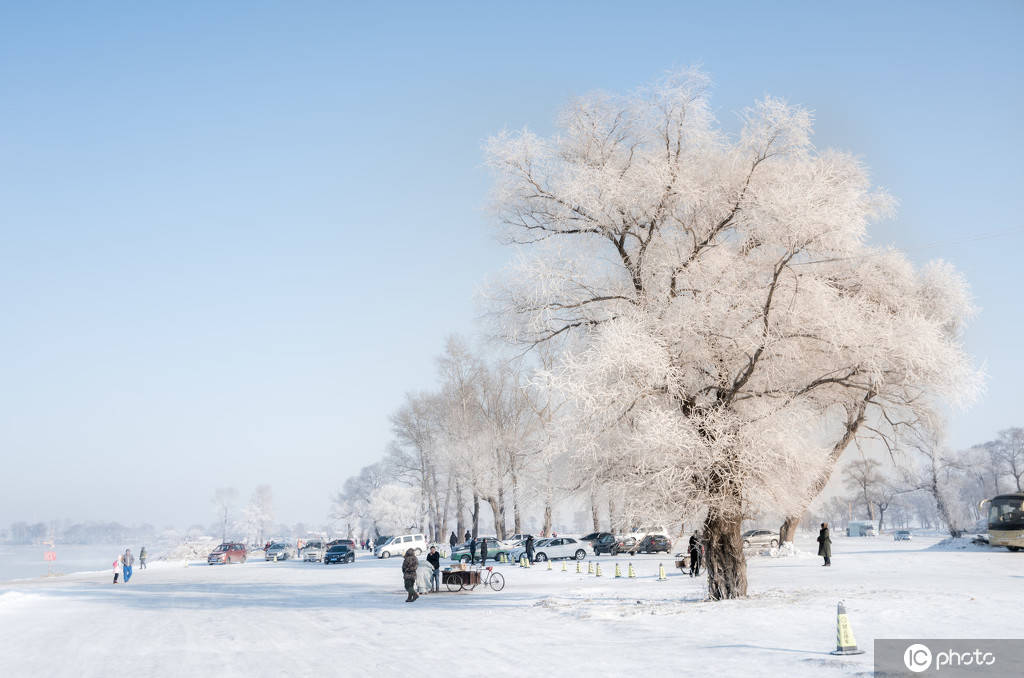 国外摄影师旅拍吉林雾凇岛冬日雪景 银装素裹