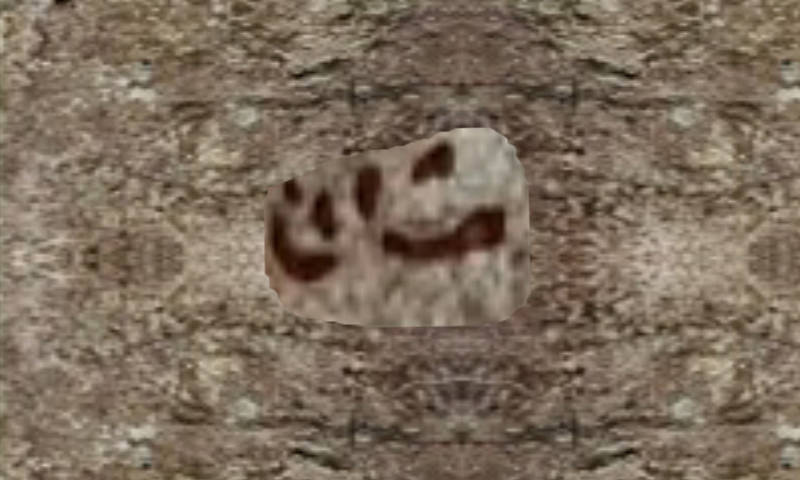 成语血肉横什么_血肉之花