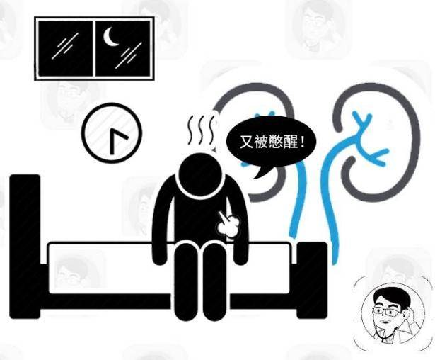 什么是残余尿 7e81a6e475ba4dddb734e1a13e5b7f3e.jpeg