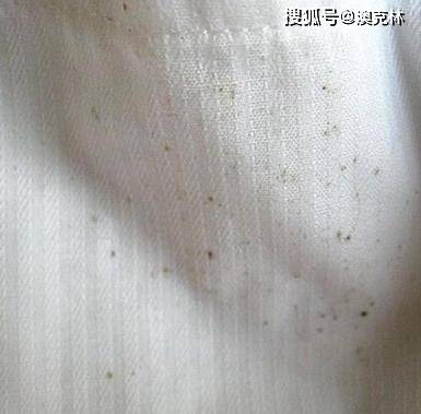 本来疫情期,我在小半年在家都待的发霉了,经济上又不宽裕,都扔掉,我
