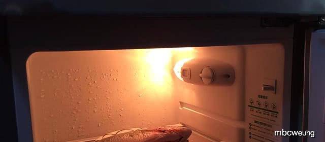 快速解冻法冰箱 ed899d8c9615405d926e68941ad1306d.jpeg