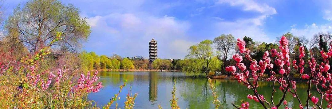 教育|北京大学2021年汉语国际教育硕士考研备考指导经验