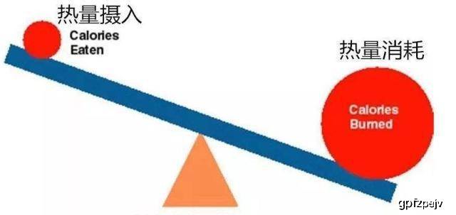 不过想要增加热量消耗,也不止运动这一种方式.