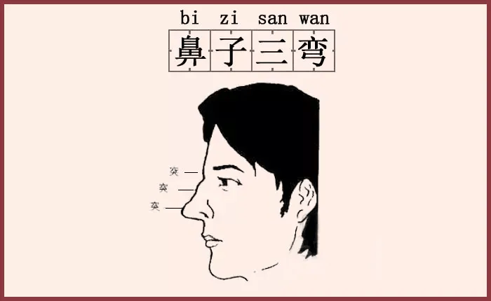 鼻梁起节的升级版,不是一个节,是几个节,不过比较少,看上去呈三弯鼻的