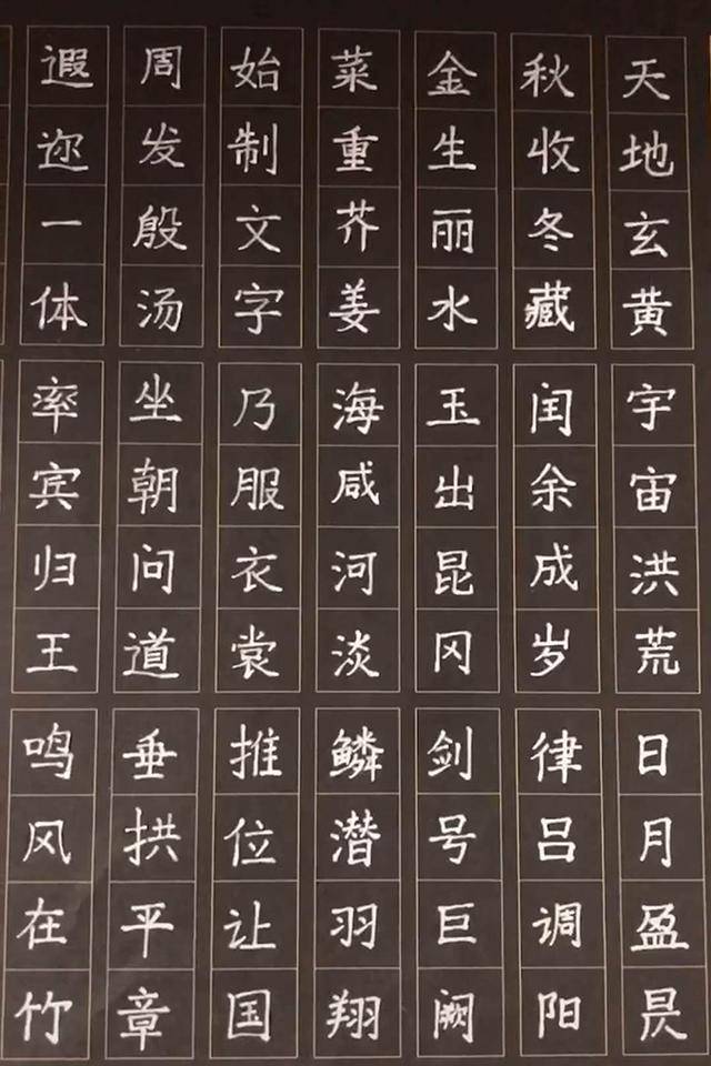 8岁小男孩写《千字文》，字迹工整像印刷，网友感叹：后生可畏