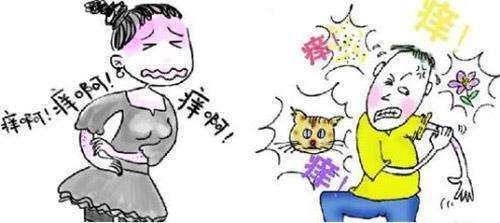 很厉害的中医叫什么 738f18b767ee4860878043fc29b6ce4e.jpeg