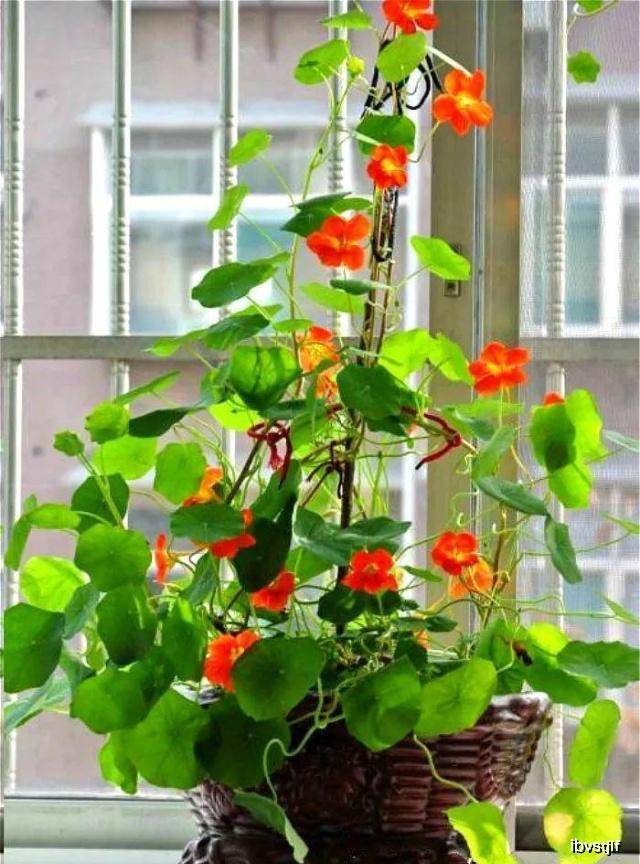 如何快速计算出一年花了多少钱 bb4a81f439db484cbb066f6657da75c7.jpeg