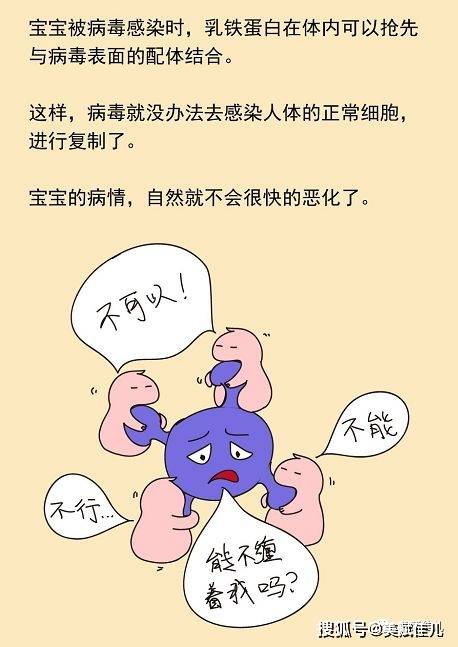 乳铁蛋白工作原理