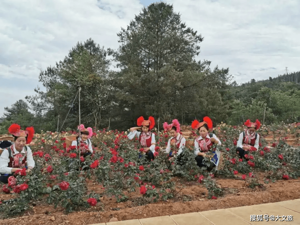 昆明人端午节去哪里玩?三家村水库旁名花谷(图)