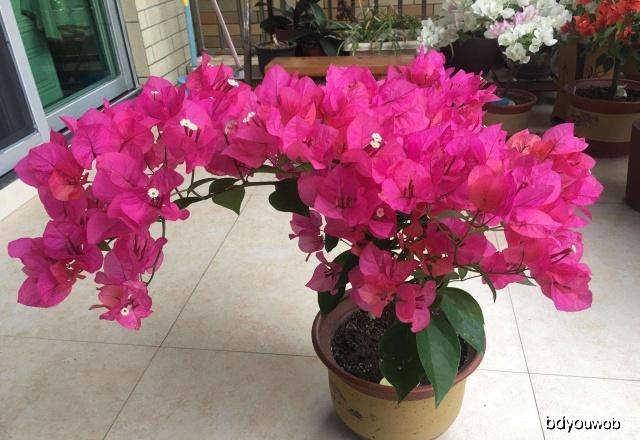 bb21da6b87ab42098a8b8a4f56a3cf18.jpeg