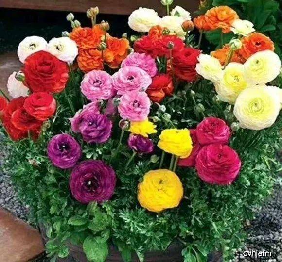 fe958b858a3447db9e6159a57b58ee0d.jpeg