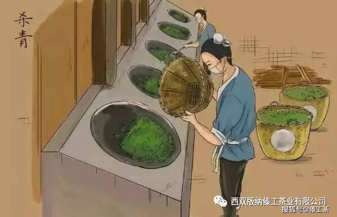 傣工茶 普洱茶生产工艺_茶叶