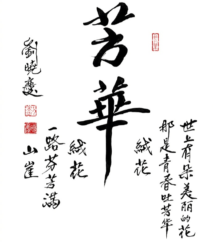 这次晒的书法是"芳华"两个大字,分别用繁体和简体写了三幅.