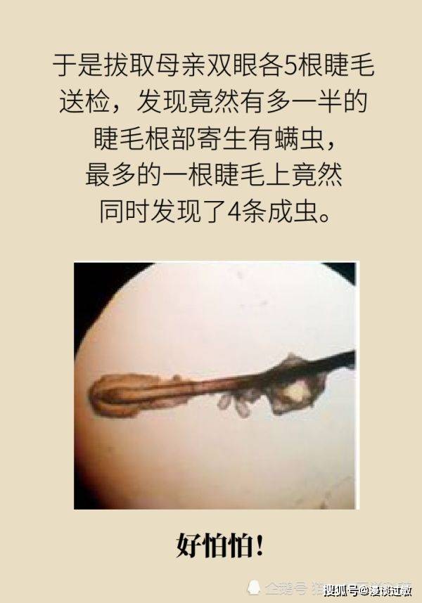 411793a60ca84f12bc68c7ace994fc5a.jpeg
