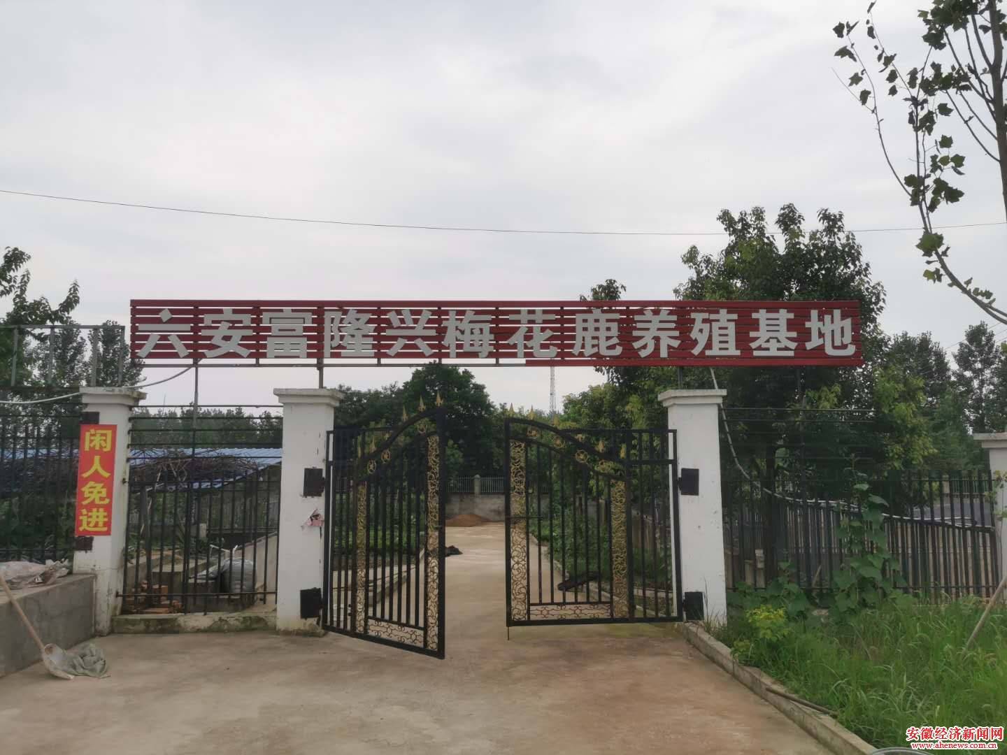 六安市农业gdp_六安市地图(2)