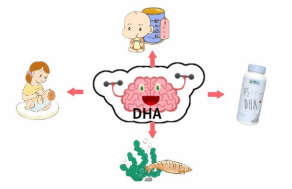 该怎么补充宝宝dha?