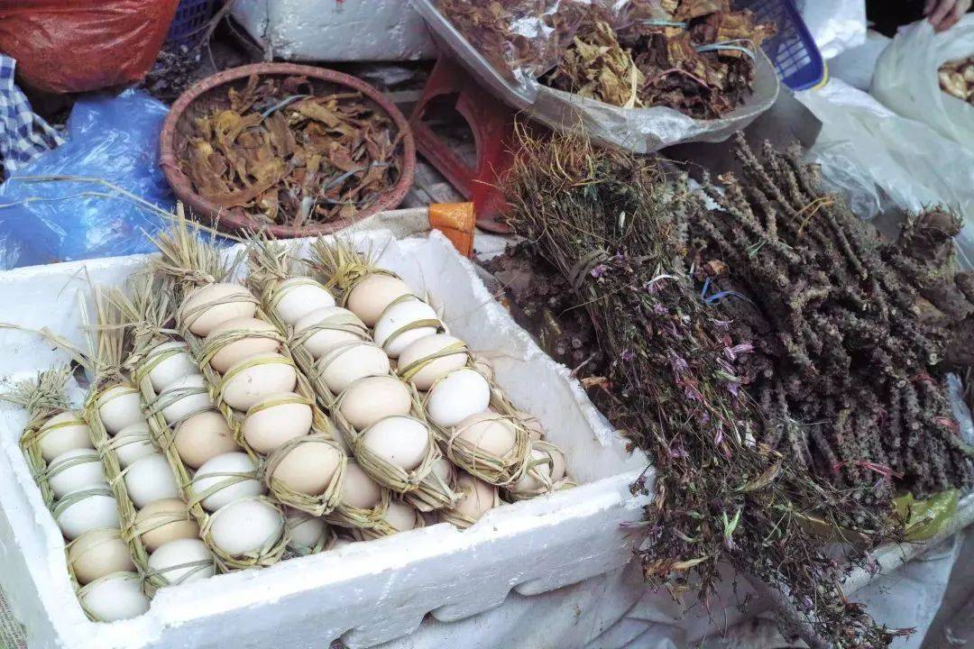 野味十足的云南菜市场,让昆明人站在了食物链顶端!