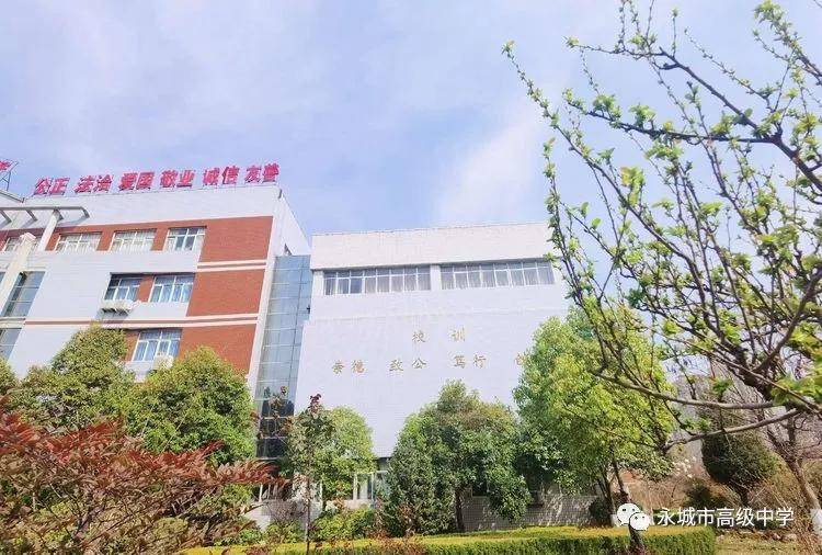 永城市人口数量_永城市地图(2)