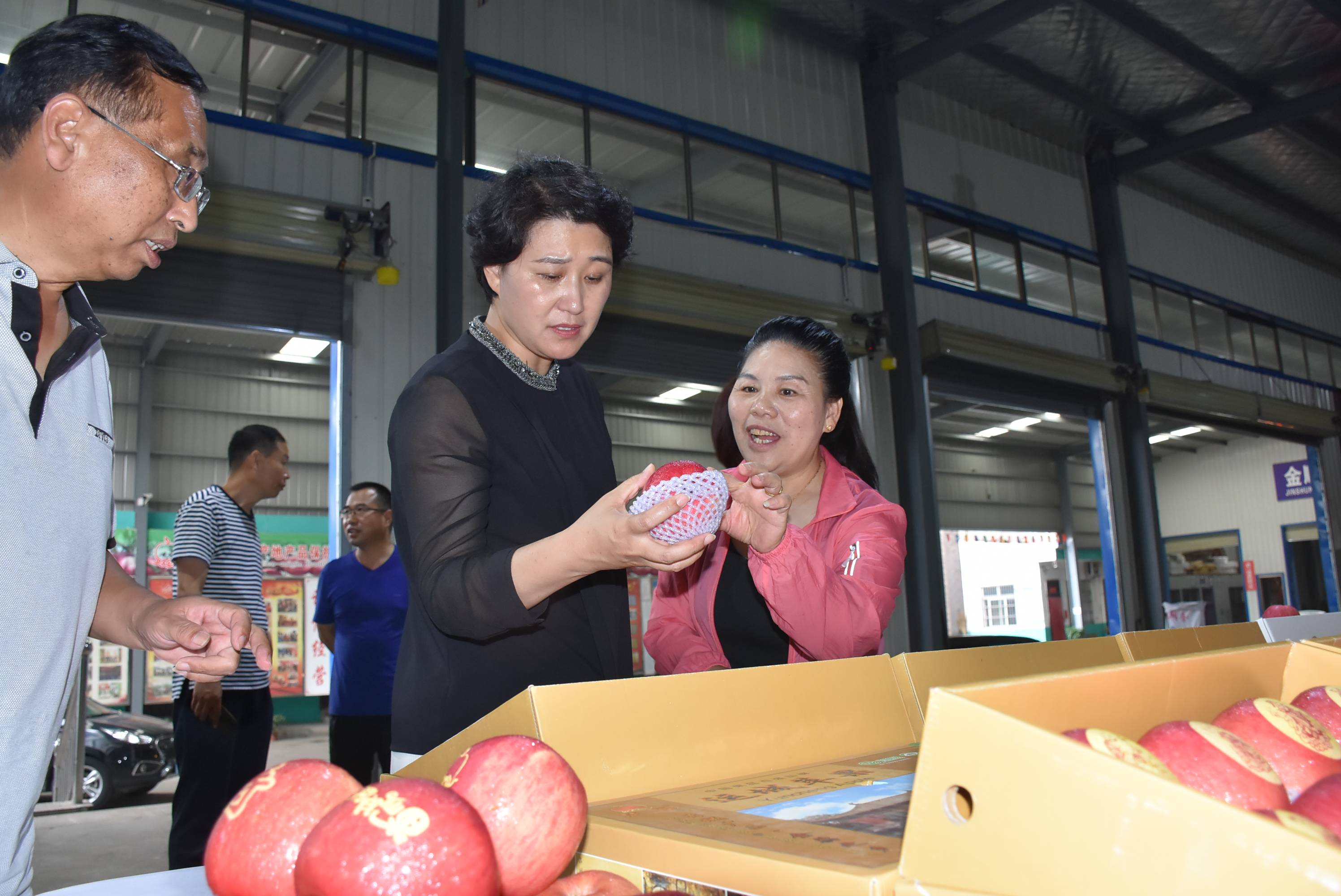 运城市农业农村局党组书记,局长苏丽红调研芮城有机旱 作相关工作