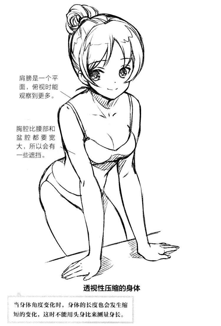 如何画好动漫人物的人体透视
