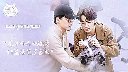 张雨剑为他买四千元乐高，艺人纷纷夸他好，如