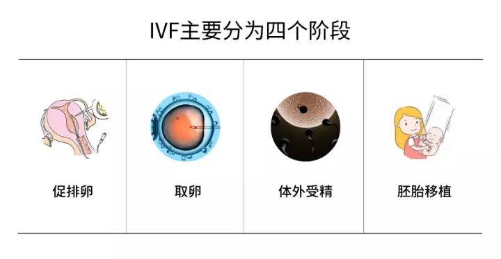 促排卵