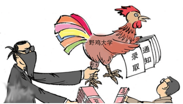 复习|苟晶被顶替上学后为何还能再次参加高考