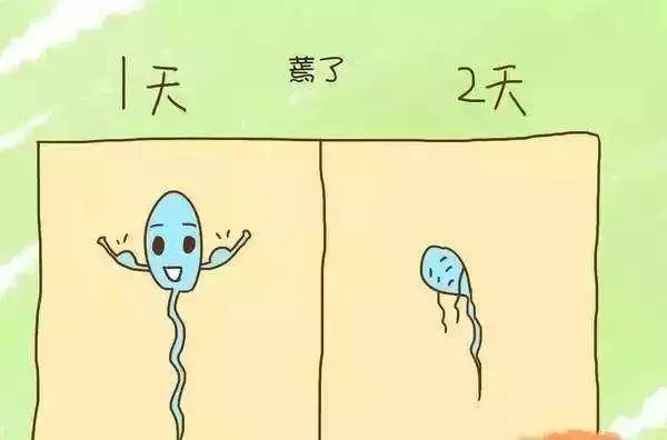 5997bed2ce6b4b29a776b3c9c0bc631c.jpeg