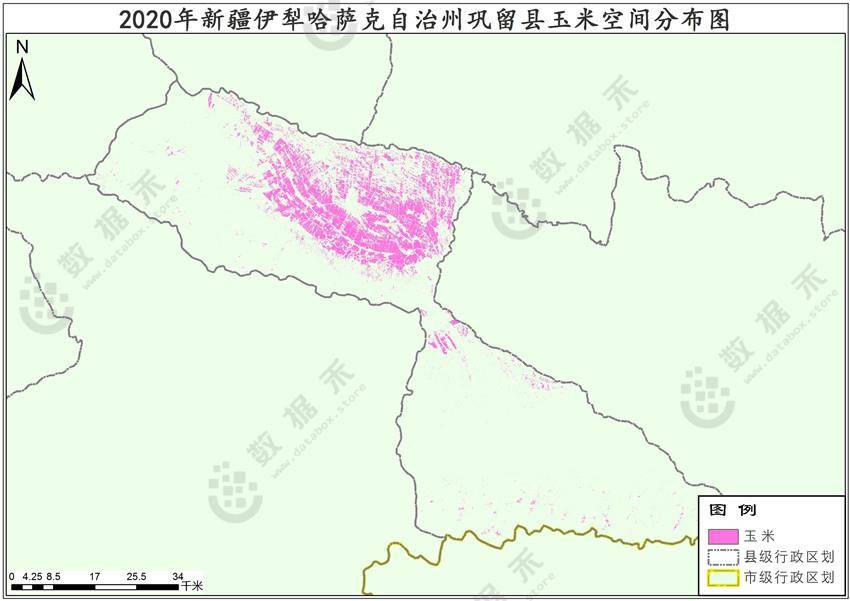 2020年新疆伊犁巩留县玉米种植分布数据