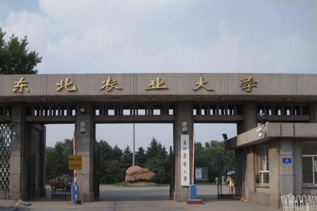 “最好考”的三所211大学，录取分数线不高，但却常常被考生忽略