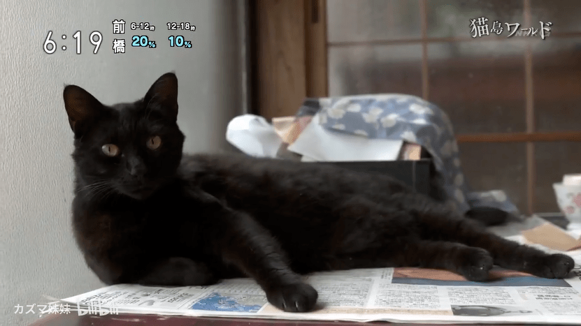 生活|吸了200只猫!”“我在一座与世隔绝的岛上