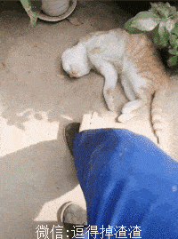 搞笑gif段子:两眼冒火,是不是就是这样的来的