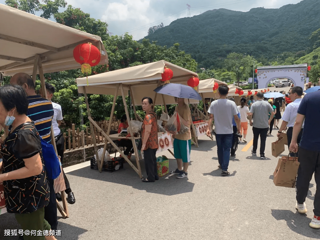 【南平荔枝节】活动攻略丨陪你过一个轻松好玩的广州暑假!