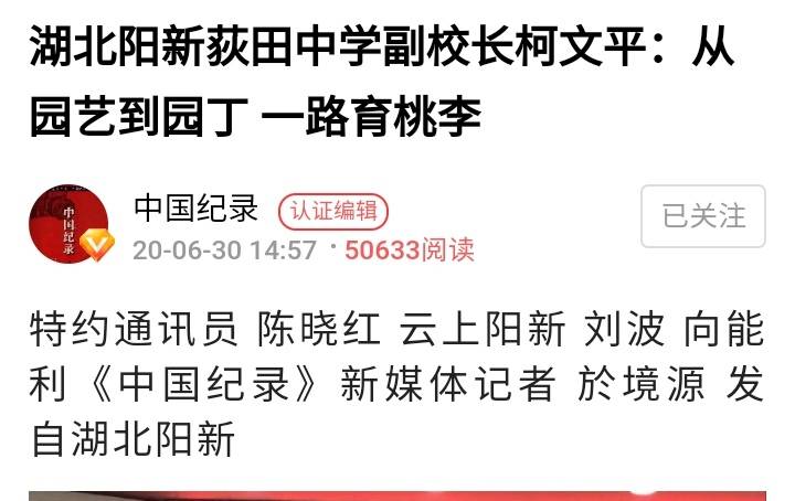 黄石2020各县gdp_2020黄石地铁规划图(2)