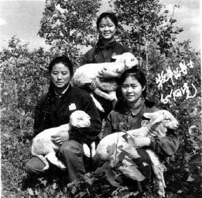 珍贵的知青老照片:美丽又能干,养猪种田样样都行