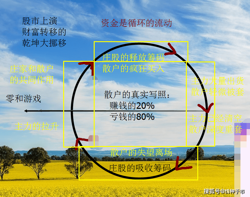 原创散户是韭菜的悲剧,注定难以改变的事实