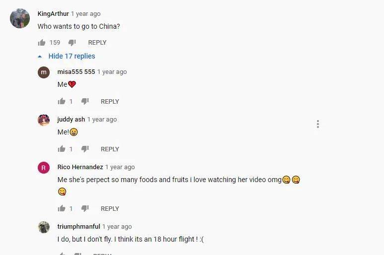 李子柒youtube评价 1a2dae2647034a95a8ce84f27bc3b57b.jpeg